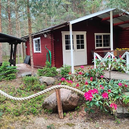 Nova Madise Guesthouse Rannaküla المظهر الخارجي الصورة