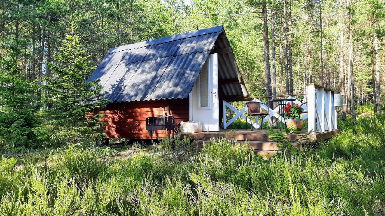 Nova Madise Guesthouse Rannaküla المظهر الخارجي الصورة